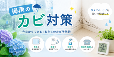 梅雨のカビ対策